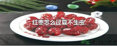 ​红枣夏天怎么放不生虫 夏天怎样防止红枣生虫