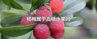 ​杨梅是不是低糖水果 杨桃属于高糖水果吗