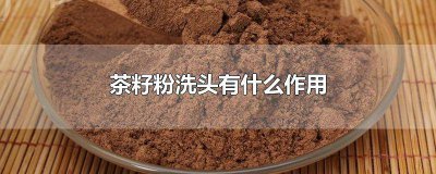 ​茶籽洗头的好处和功效 茶籽洗头好吗