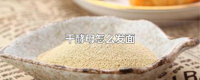 ​老酵子发面做馒头视频全过程 馒头发酵视频教程