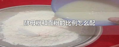 ​面粉与酵母的配比方法 面粉与酵母的配比表