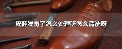 ​皮鞋发霉如何处理 皮鞋里面发霉了怎么清洗