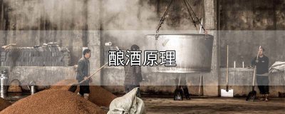 ​啤酒花酿酒原理 大米酿酒原理