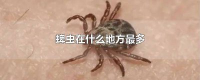​蜱虫是什么地方都有的吗? 蜱虫一般哪有