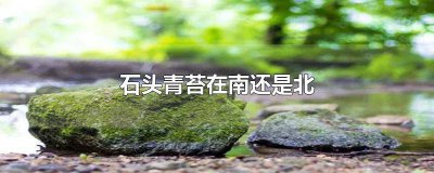 ​青苔在石头的哪面 岩石上的青苔怎么辨别南北
