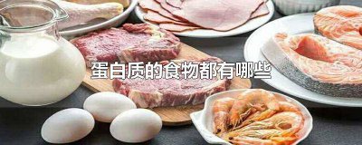 ​富有蛋白质的食物都有哪些图片 富有蛋白质的食物都有哪些食物