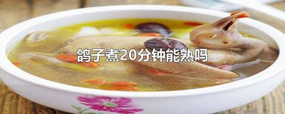 ​鸽子煮多久会熟透 鸽子煲多长时间熟