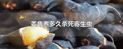​菱角菜寄生虫 煮熟的菱角有寄生虫吗