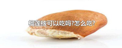 ​榴莲核咋吃 榴莲的核可以吃吗