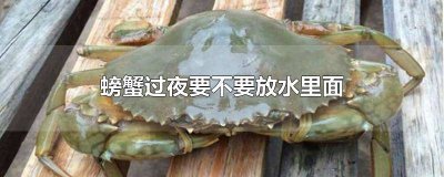 ​螃蟹过夜要不要放水里面