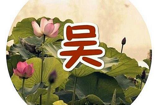 历史上吴姓最大的官分别都有谁