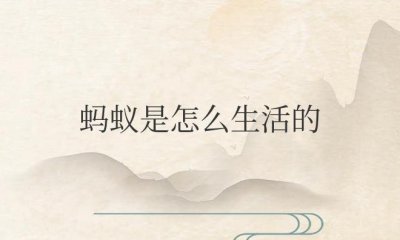 ​蚂蚁是怎么生活的昆虫
