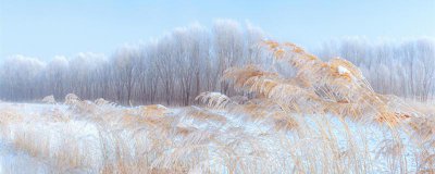 ​关于大雪的谚语
