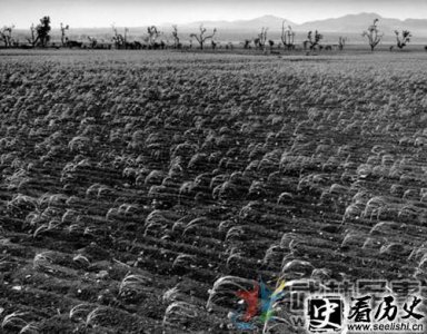 ​揭秘朝鲜大饥荒真相