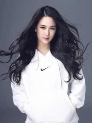 龙梅子