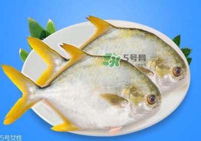 ​金鲳鱼的营养价值 金鲳鱼的功效作用
