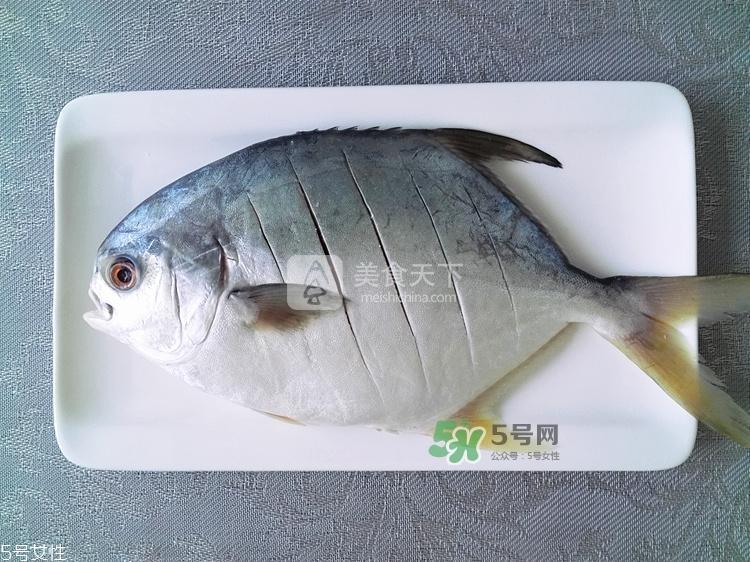 金鲳鱼的营养价值 金鲳鱼的功效作用