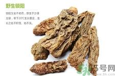 锁阳的作用与功效 锁阳的用药禁忌