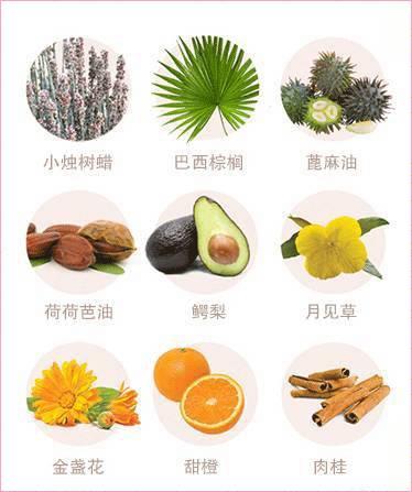 可以吃的口红牌子有哪些_哪些牌子的口红可以吃