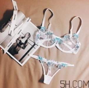 ​agent provocateur什么价位？agent provocateur内衣价格