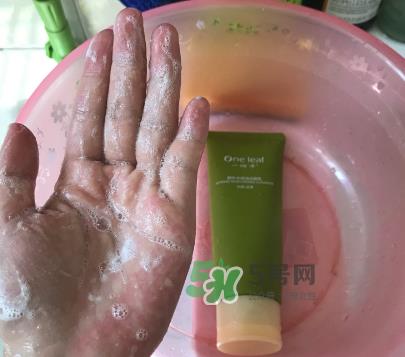 一叶子补水洁面乳怎么样？一叶子补水洗面奶好用吗？