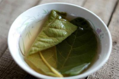 ​枇杷叶煮水用老叶还是新叶 枇杷叶煮水可以用新叶吗