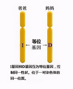 ​黑人血统几代会消失（黑人多少代混血才能完全拥有白人特征）