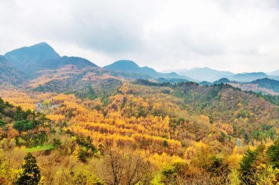 ​被誉为东方塑像馆的是什么石窟（麦积山石窟简介）