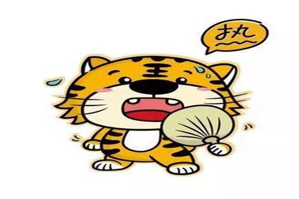网络配图