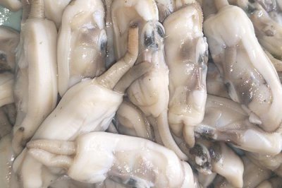​蛏子哪些部位不能吃 这个地方不能吃