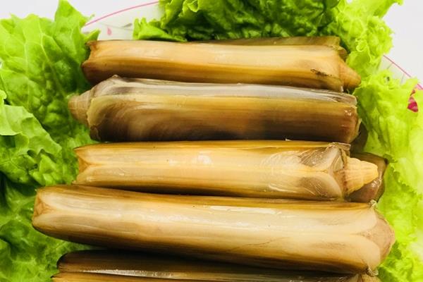 蛏子哪些部位不能吃 这个地方不能吃
