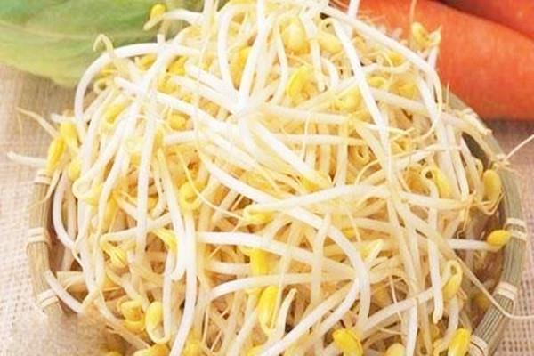 黄豆芽有什么营养价值 黄豆芽会中毒吗