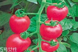 粉贝贝是什么水果 粉贝贝和千禧果哪个好