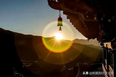 ​反者道之动弱者道之用什么意思（如何理解其中哲学智慧）