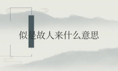 ​青衫烟雨客似是故人来什么意思