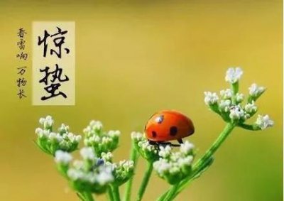 ​从惊蛰节气出发，探寻中国古代的雷神文化