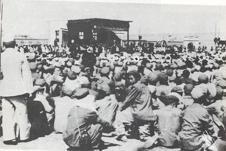 1950年，此匪钻进贺兰山成立“黑虎军”，声称三年内夺回西北五省