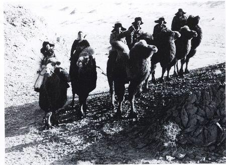 1950年，此匪钻进贺兰山成立“黑虎军”，声称三年内夺回西北五省