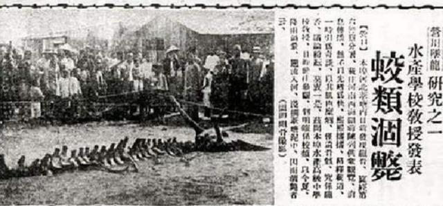 1934年的“营口坠龙”事件，经过70多年的探索，有何结论？