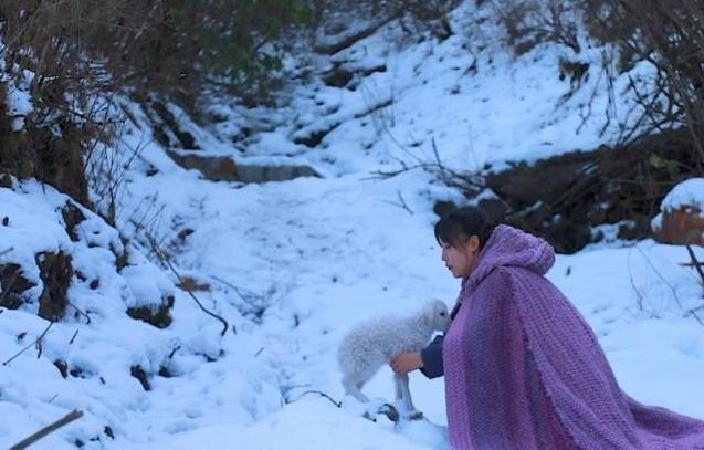 李子柒又玩“新花样”, 用“它”染色做斗篷, 网友: 真想娶回家
