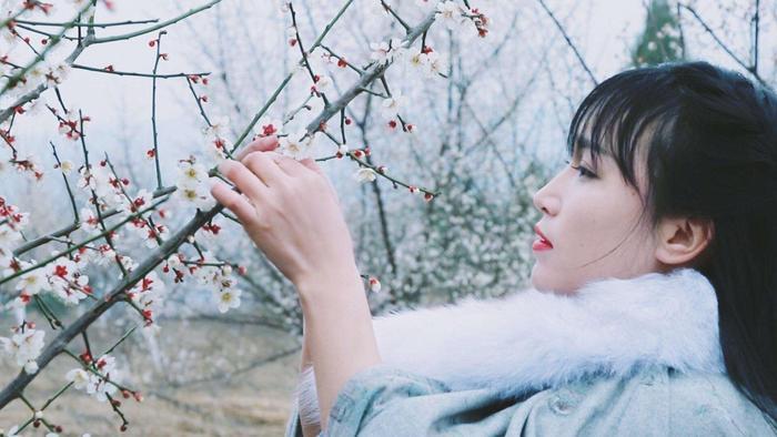 李子柒又玩“新花样”, 用“它”染色做斗篷, 网友: 真想娶回家