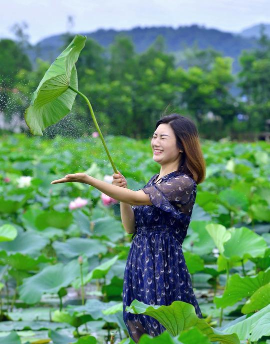 古代诗歌的分类