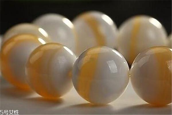 金丝砗磲是什么材质 一种漂亮的贝类