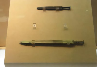 ​是范雎坑了白起，还是白起把自己坑了