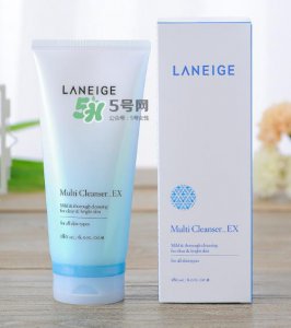 ​兰芝多效洁颜膏怎么样？兰芝多效洁颜膏好用吗？