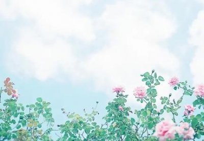 ​智慧超人宋太祖赵匡胤简介和历史事迹怎么得到皇位的为什么不把皇位传给儿子