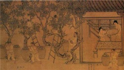 ​邓艾都做了哪些事为什么曹爽没有杀他？