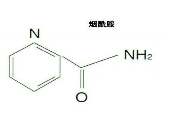 烟酰胺有什么作用呢 烟酰胺白天可以用吗