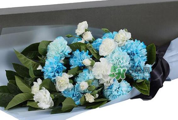 joyflower是哪国品牌？joyflower怎么样？