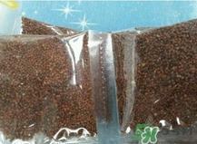 海藻面膜适合什么年龄?海藻面膜适合什么季节?